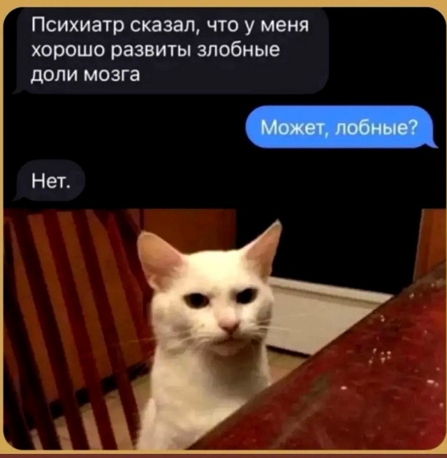 Картинки из рабочего чата 25.06