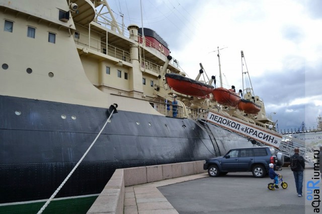 СПб глазами уставшего туриста...