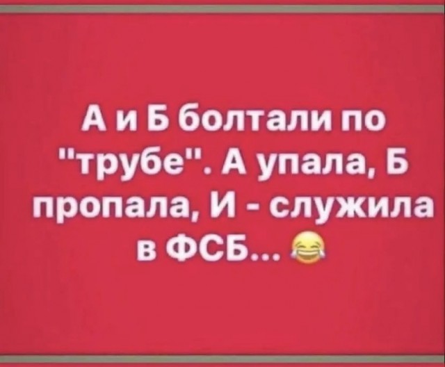 Весёлый полтишок 5.08.22
