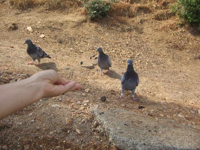 Отдых в Черногории (сентябрь 2012)