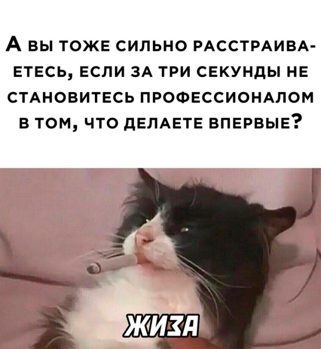 Картинки и мемы. Выходные близко...
