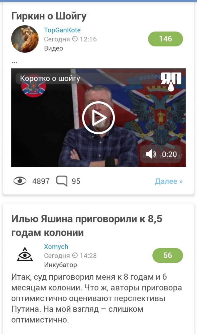 Гиркин о Шойгу