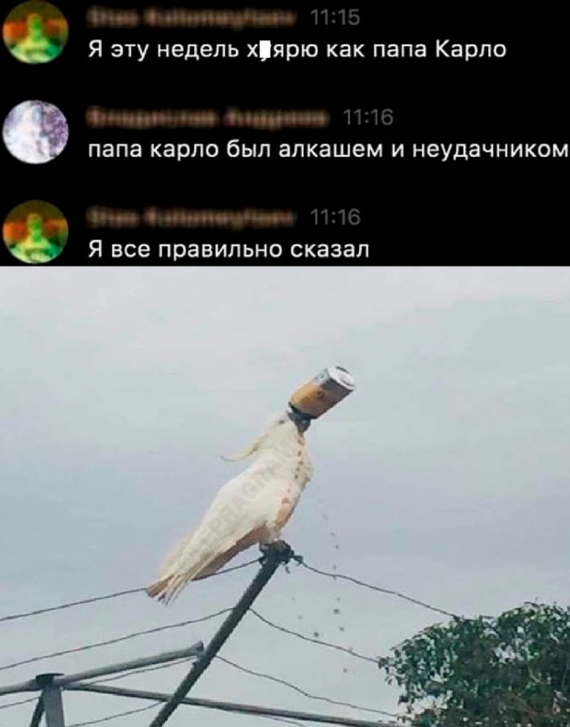 Картинки и мемы, всем хороших выходных