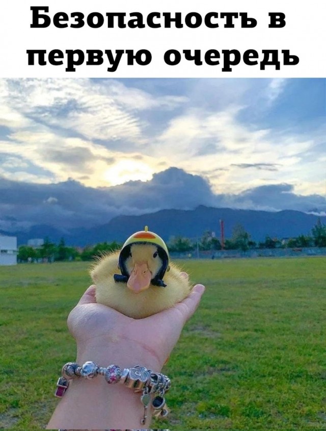 Так себе картинки 11.04.23