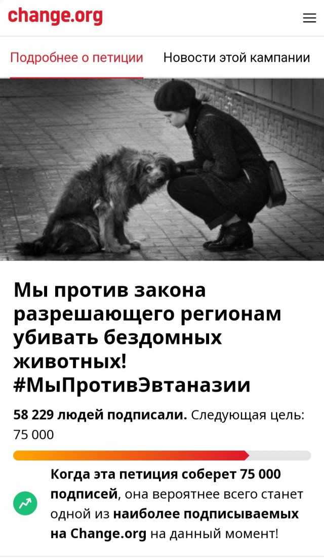 Бездомные собаки насмерть загрызли ребёнка в Оренбурге.