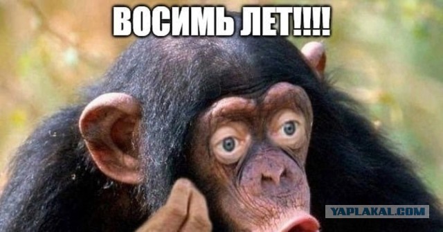 Семья Кривошеевых, не скучные