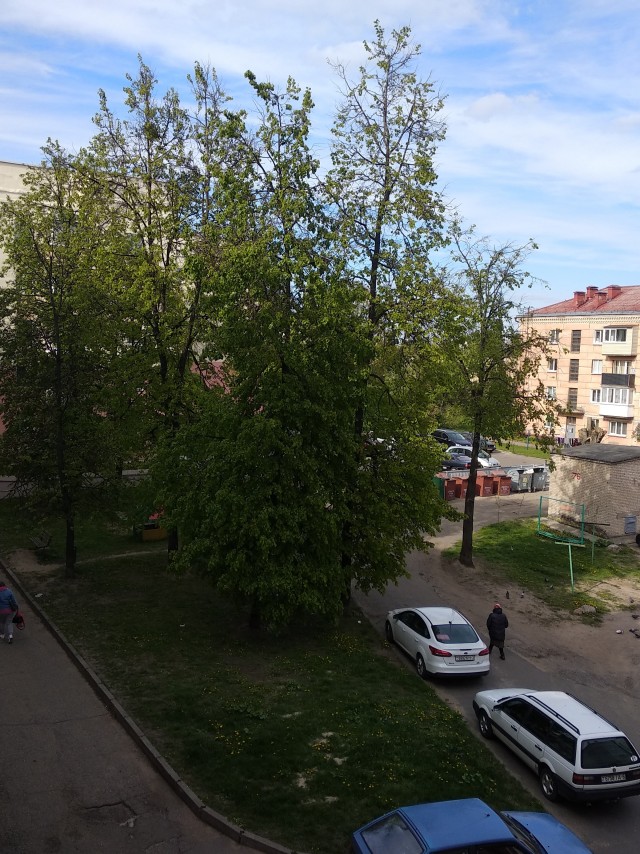 Начало мая