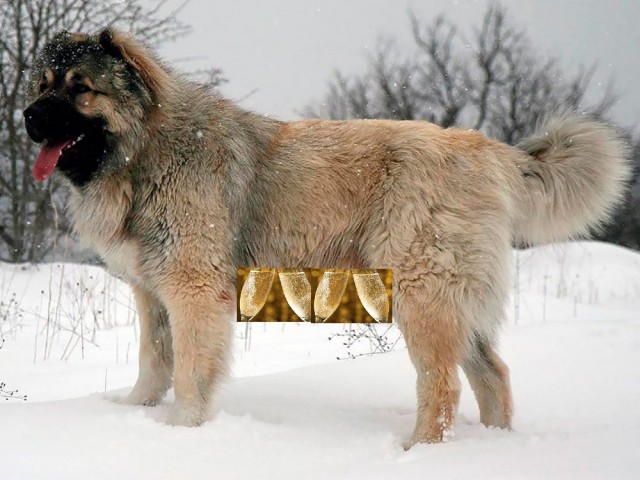 Почти идеальная грудь