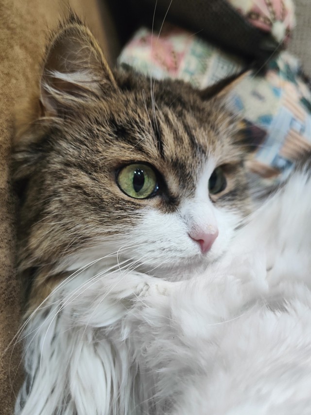Котя моя. Ну и пусть собакочетверг!