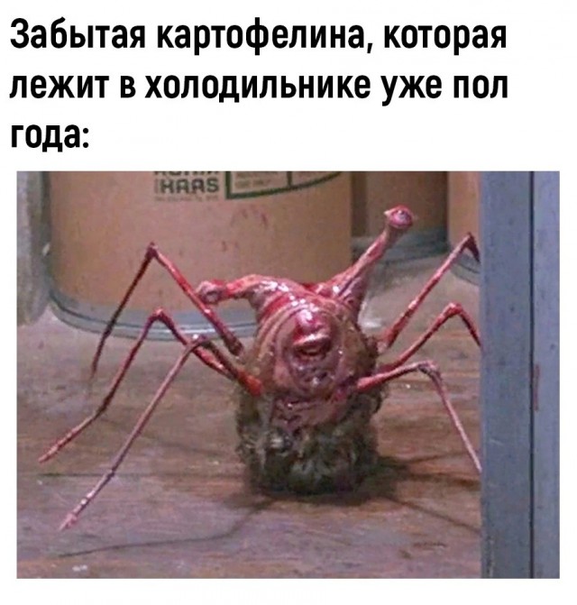 Набор продуктов каждого холодильника