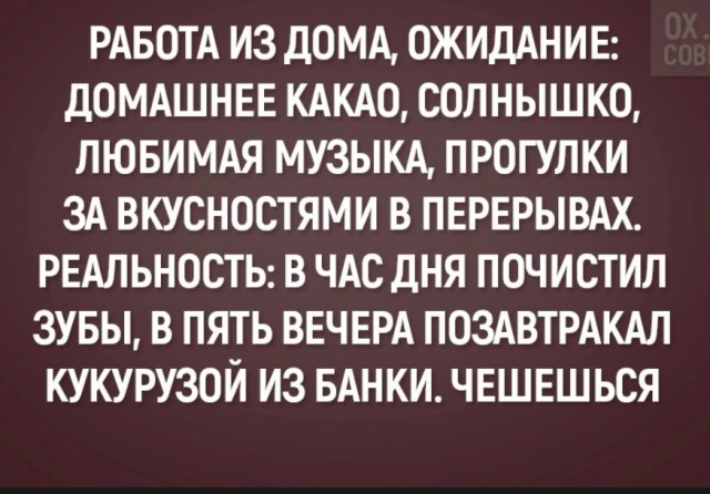 Пьющая красавица: мифы и правда о женском алкоголизме