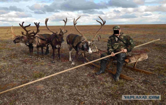 Рабочее место