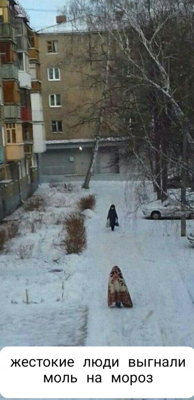 К обеду подвезли свежие баяны