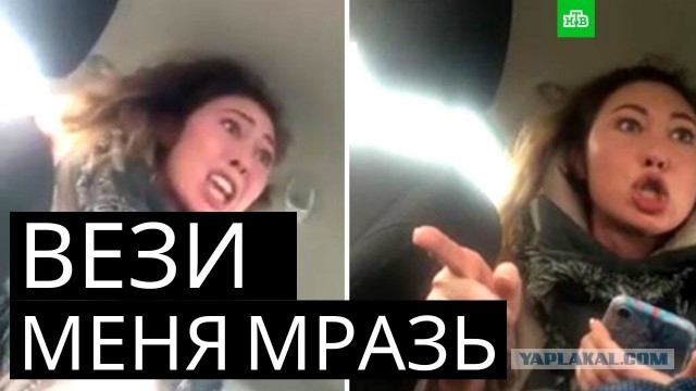 Адекватная сиськина  это слева