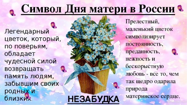 Незабудка - против СВО?.. Ах...еть!