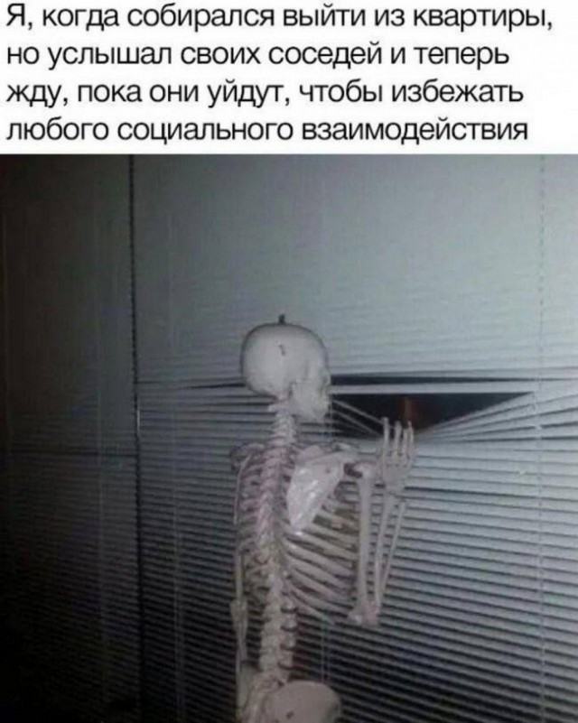 Картинки