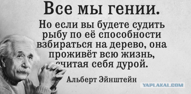 Хоть одна женщина правду сказала