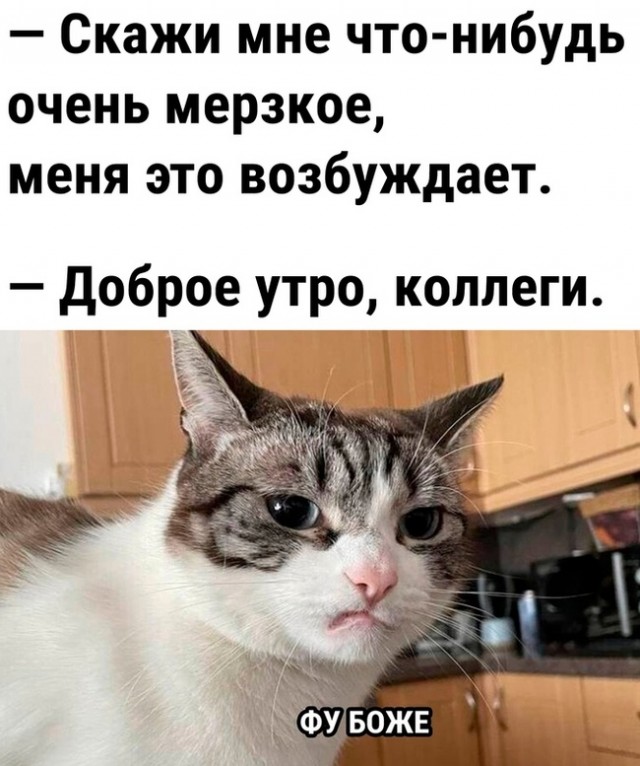Околоайтишные мемчики 5