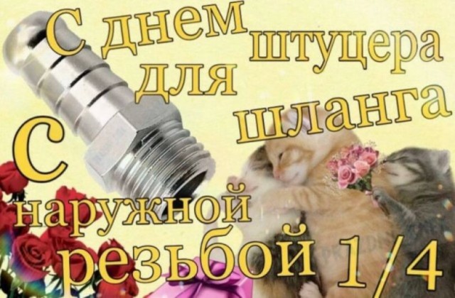 Быстрая деградация