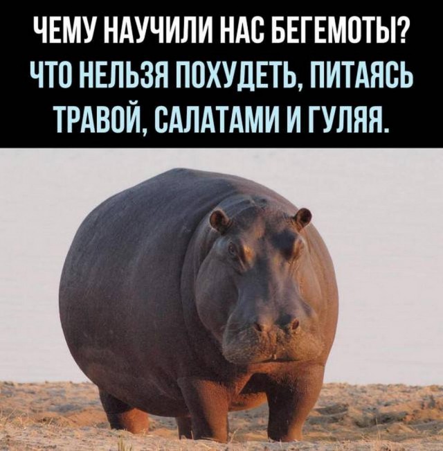 Картинки разные с надписями и без
