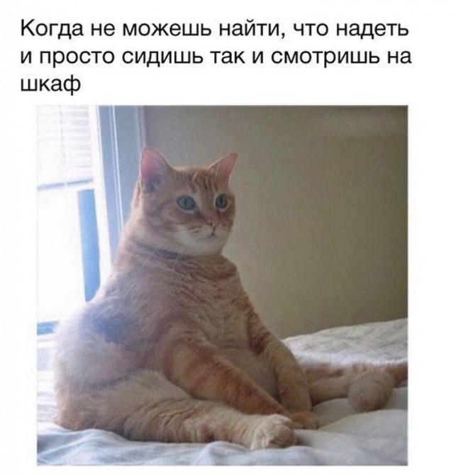 Картинки с текстом для настроения