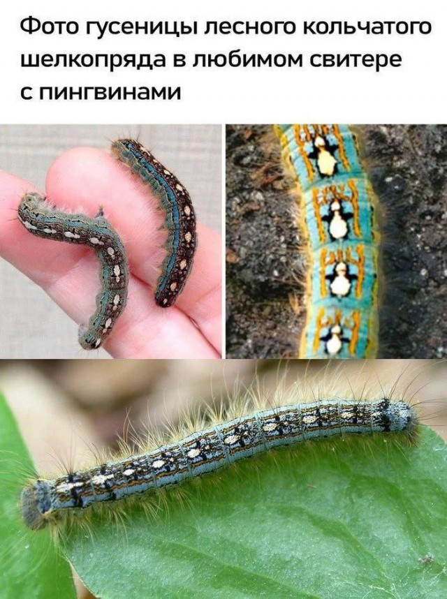 Завалялось тут случайно немного забавных картинок