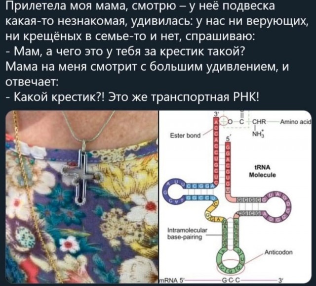 Подъём!