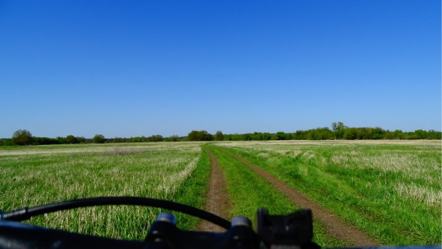 Разбавим политоту и жесть природой