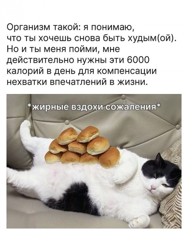 Ещё одна рабочая неделя прошла