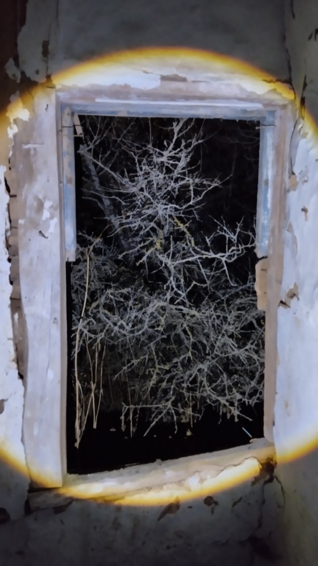 Клуб говорунов (литературный)