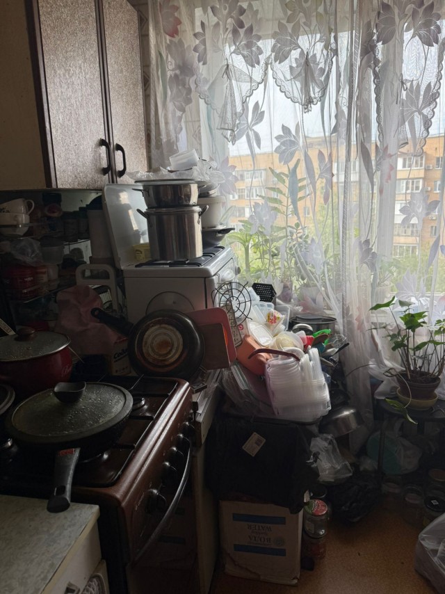 Почему тараканы исчезли из домов в 2000-х и почему они возвращаются сейчас