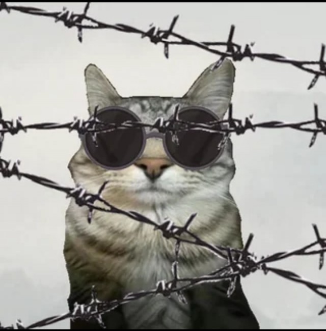 Гр.Об. Жизнь в юнных сердцах