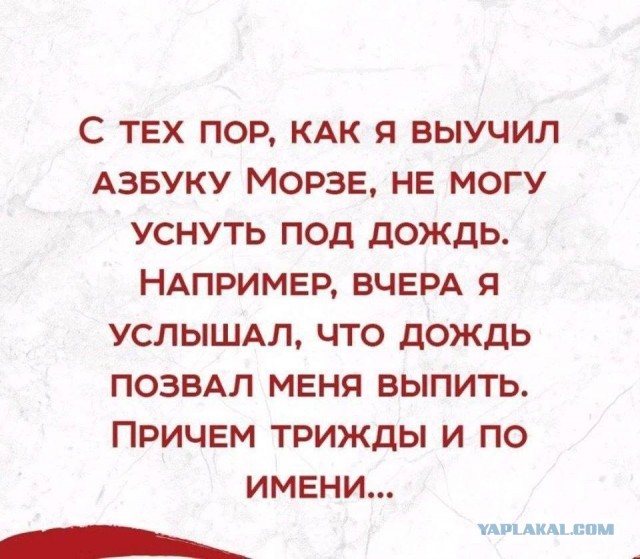 Пятничный алко-пост