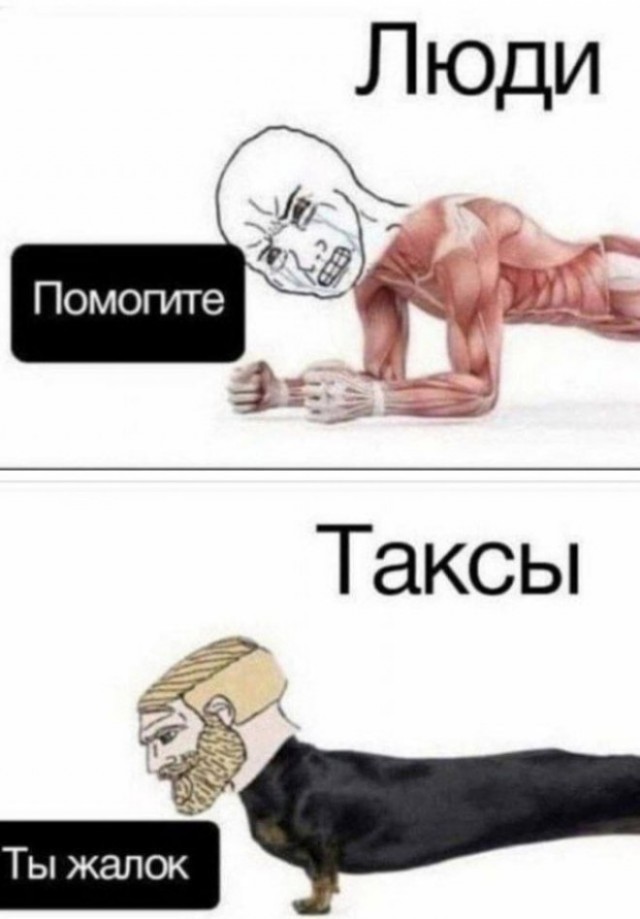 Так себе картинки 28.10.25