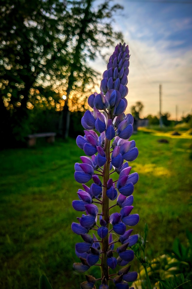 Моя мобильная фотография.