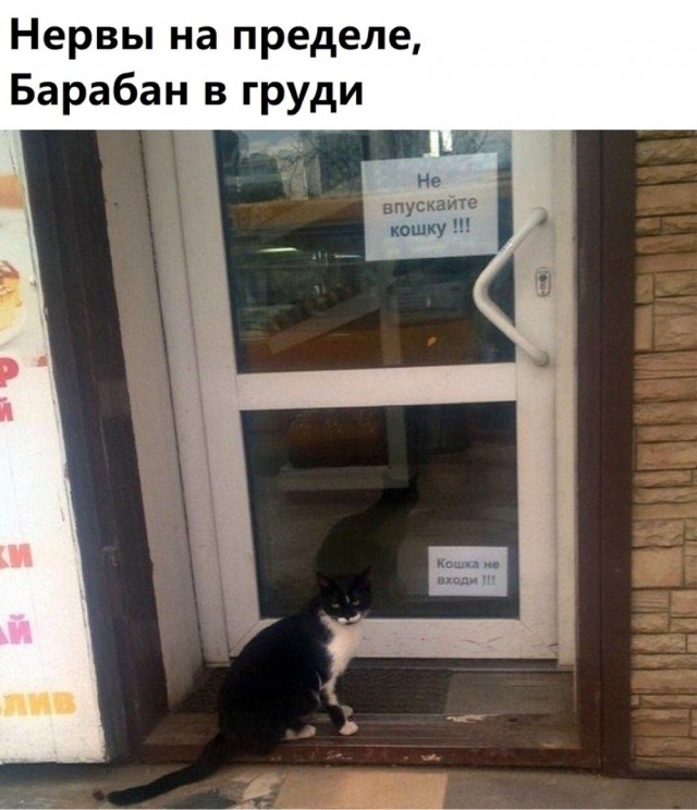 Понедельника картинки
