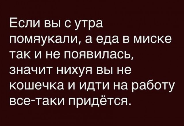Картинки для деградации постновогодние (как салаты - разной степени свежести)