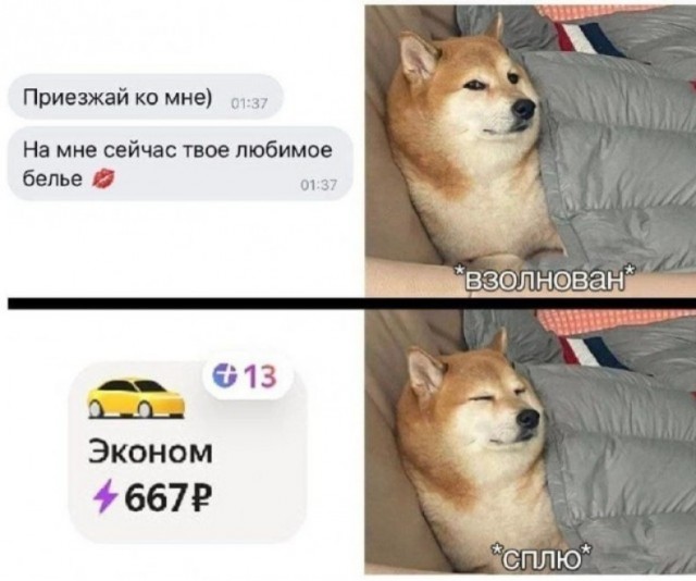 Пошло-баянистая деградация