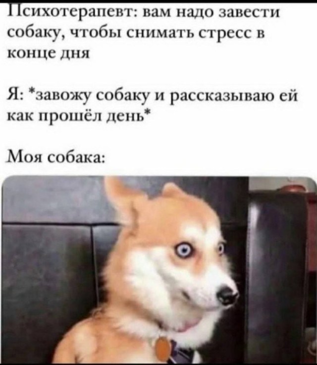 Веселые картинки в пятницу (17.04)