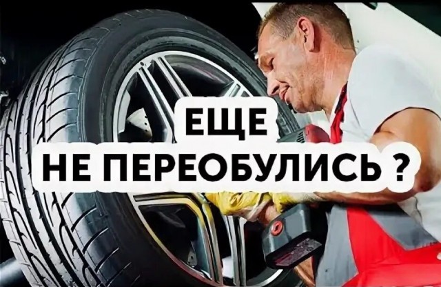 Сова падла