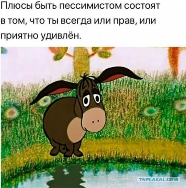 Отношения вышли
