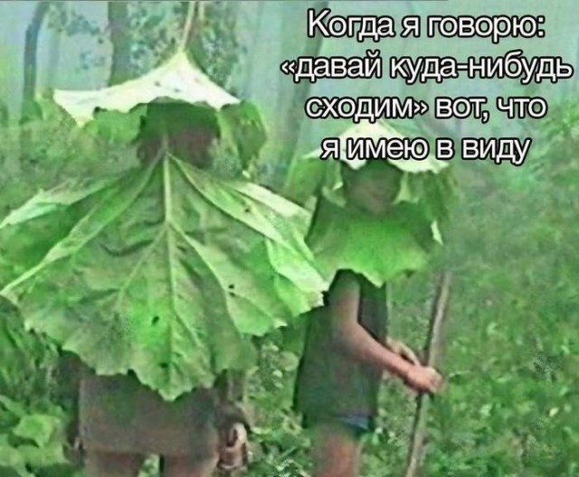 Картинки для деградации 201 (разной степени свежести)