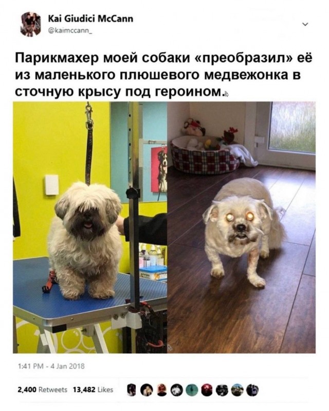 Картинки для деградации 209 (разной степени свежести)