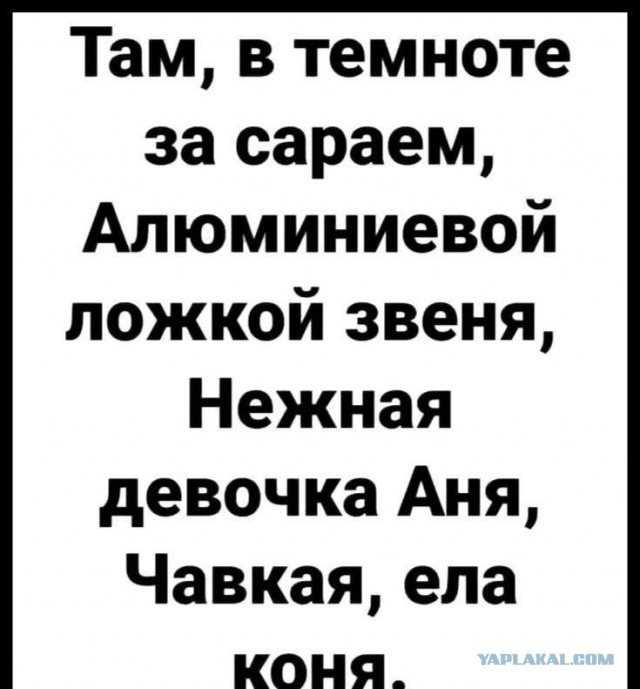 Картиночки, баянчики 17 июня