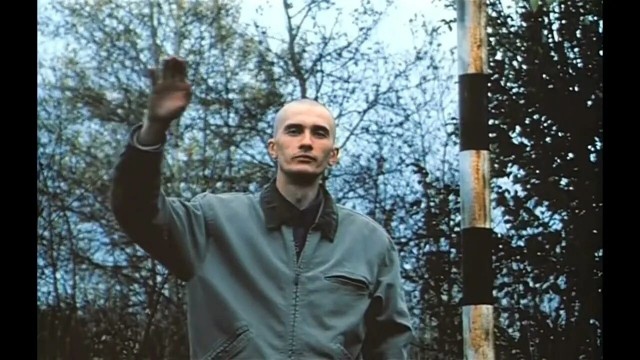 Веселье 100 %, плавучесть — 0 %