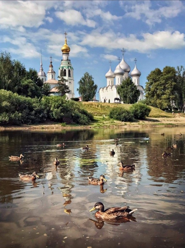 Прикольные и просто красивые картинки 10.07.2026