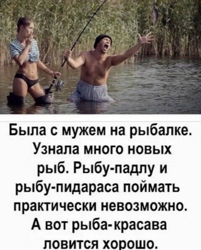 Веселое настроение в картинках 13.08.26