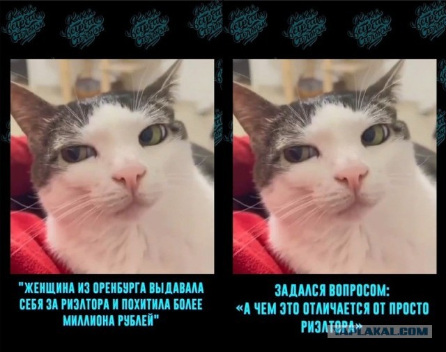 Совсем уже ох... какие нехорошие люди...
