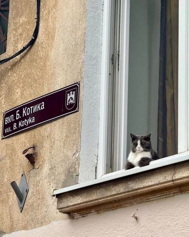 Я вспомнил!