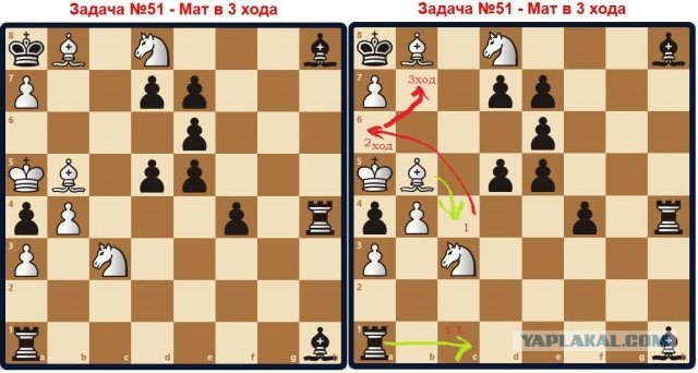 Шахматные задачи-двухходовки. Задачи 41-...